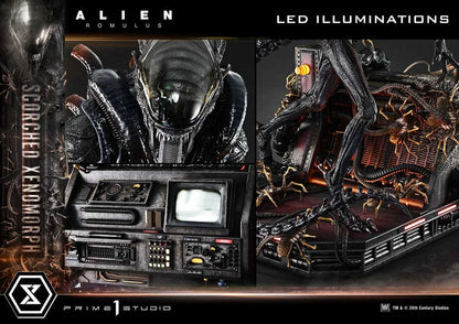 Alien: Romulus Museum Masterline XL Statue 1/3 Scorched Xenomorph Deluxe Bonus Version 98 cm