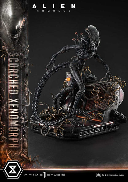 Alien: Romulus Museum Masterline XL Statue 1/3 Scorched Xenomorph 98 cm